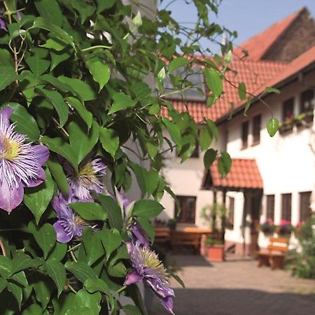 Pension Gaestehaus Kachelofa Hotel Vaihingen an der Enz Exterior photo