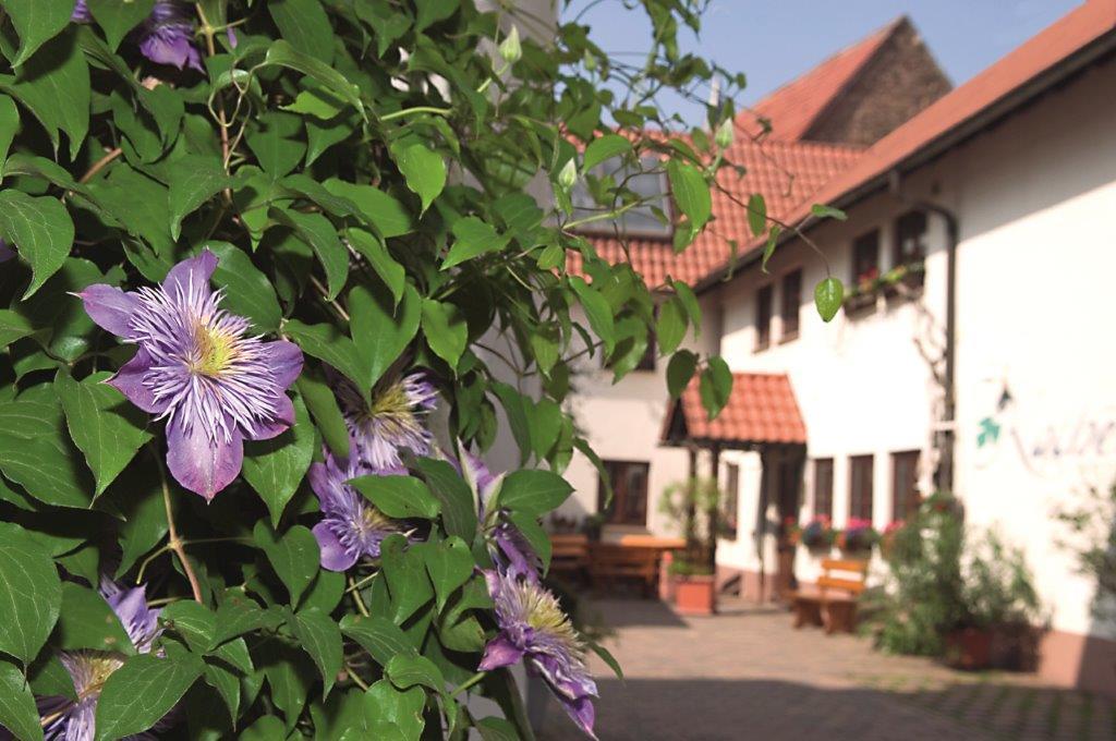 Pension Gaestehaus Kachelofa Hotel Vaihingen an der Enz Exterior photo